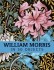 BUY William Morris in 50 Objects FROM AMAZON