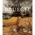 BUY Pieter Bruegel by Larry Silver FROM AMAZON