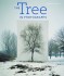 Buy  The Tree in Photographs from Amazon