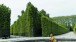 Versailles: This intersection of bosquets illustrates the establishment of architectural walls, consisting of closely planted trees that are pruned & reinforced by lattice fencing; the palisades outside them heighten the experience of discovery within