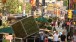 Looking towards Times Square, elevated cubes, growing vegetation and steel, 10.6 ft x 5 ft., x 5 ft.