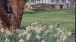 Ascott House in the spring. Photo: National Trust