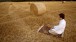 'A Mosque with a Difference’, prayer in a field. © Peter SandersImage courtesy SOAS