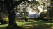 A sundial of box hedge topiary in the gardens at Ascott ©National Trust Images/Neil Campbell-Sharp