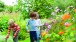 Alex Orrow, Children in the Botanic Garden, Sainsbury Science Laboratory, Cambridge, England