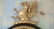 An heraldic gryphon on  a Regency convex mirror © Martin Body, Giltwood Restoration