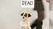 David Shrigley, I'm Dead (2010)