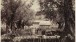  Francis Bedford,  Garden of Gethsemane, Jerusalem. Royal Collection Trust / ©  Her Majesty Queen Elizabeth II