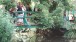 Tourists on the familiar Japanese bridge in Monet's garden at Giverny