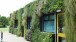 Living Wall, Grant Thorold Library, Grimsby, England, created by BioTecture Ltd.