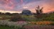 The Frederik Meijer Gardens and Sculpture Park at sunset