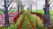 David Hockney A Closer Winter Tunnel, February–March, 2006 Oil on six canvases 182.9 x 365.8 cm overall Art Gallery of New South Wales, Sydney. Purchased with funds provided by Geoff and Vicki Ainsworth, the Florence and William Crosby Bequest and the Art