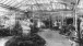 The greenhouse at Moulton Paddock