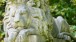 The tomb of George Wombwell (1788–1850), owner and founder of Wombwell's  Menageries, under a statue of Nero, his lion.  West Cemetery  © Hugh Thompson