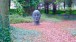  John Davies, Head 1996. Cass Sculpture Foundation