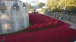 Paul Cummins, Blood Swept Lands and Seas of Red, Tower of London (detail)