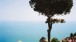 A giant umbrella pine frames the famous view from the terrace, over twin domes, out into the Gulf of Salerno.