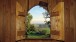 View from the Hermitage across to the North Downs