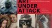 Cover illustration of Art Under Attack: Histories of British Iconoclasm