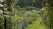 Gertrude Jekyll, the gardens at the Manor House, Upton Grey (1908) © Country Life