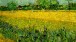 Vincent van Gogh, Field with flowers near Arles, 1888, Oil on canvas, 54 x 65 cm.  Van Gogh Museum Amsterdam (Vincent van Gogh Foundation)