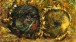 Vincent van Gogh, Sunflowers, 1887, 50 x 60.7 cm. Kunstmuseum Bern, Gift of Prof. Dr. Hans R. Hahnloser, Bern, Inv. Nr. G 2140