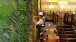 Maintaining a Living Wall, created by BioTecture Ltd, Zizzi restaurant, Gateshead, England.