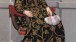Giovanni Battista Moroni,  Isotta Brembati, c.1555,  Museo di Palazzo Moroni - Lucretia Moroni Collection, Bergamo.  Oil on canvas, 160x115 cm.  Fondazione Museo di Palazzo Moroni - Lucretia Moroni Collection, Bergamo. Photo: Marco Mazzoleni