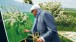 David Hockney painting Woldgate