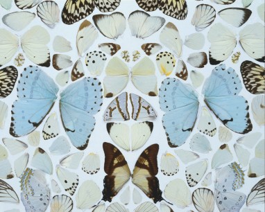 Damien Hirst,  Sympathy in White Major - Absolution II  2006 (Detail)  Butterflies and household gloss on canvas