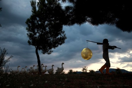 Agnes Meyer-Brandis, still from  Moon Goose Analogue: Lunar Migration Bird Facility. Training moongeese to head for the moon