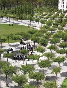 Parc de l’Ancien Palais Paysagestion, Geneva. Aerial view of the ceiling plane of hornbeam trees, through which can be seen a circular pool and lawn open to the sky