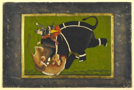 Elephant trampling a tiger © British Library Board Above all other animals, the Mughal prized elephants for their strength and courage. Elephants were used in battle and to trample prisoners to death. c.1770