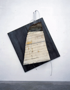 Jannis Kounellis, Albatross