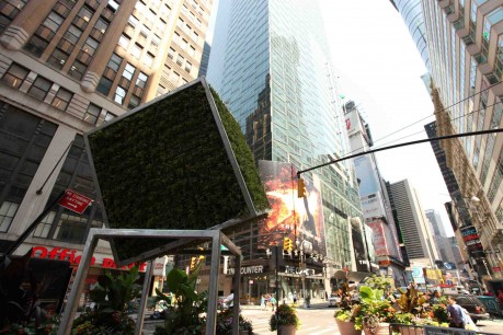 3.	Broadway at 41st Street, elevated cube, growing vegetation and steel, 10.6 ft x 5 ft. x 5 ft.  Photo:  Laurentiu Garofeanu