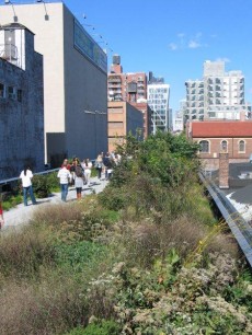 Mid-way along the High Line, around 20th Street