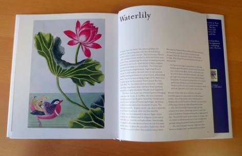 A spread from Painterly Plants