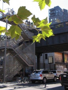 High Lline access stairs from 20th Street