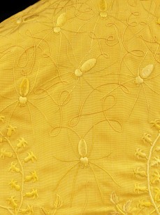 Detail of silk cape