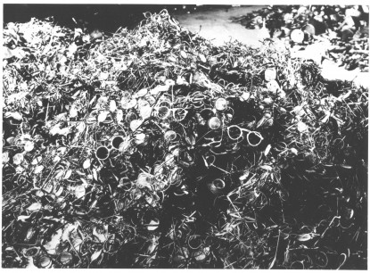 Photographer Unknown, Oswiecim Prison Camp Clean-up (Glasses)