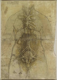 Leonardo da Vinci, The cardiovascular system and principal organs of a woman, c.1509–10   Royal Collection Trust / ©  Her Majesty Queen Elizabeth II 2013