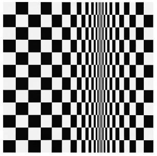 Bridget RIley, Movement in Squares 1962 © The artist