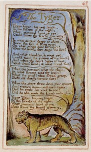 William Blake, Songs of Innocence and of Experience, copy Z, plate 42 ('The Tyger').