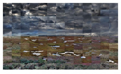 Noel Myles, Autumn Wetlands, 2011, made from 130 abutted digital files, edition of 30