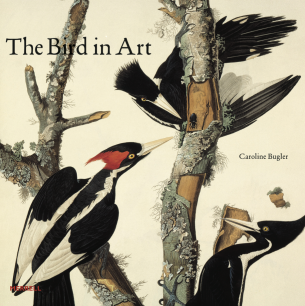 Cover of The Bird in Art (Merrell)