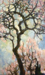 Daphne Petrohilos, Blossoming Almond Trees © the artist