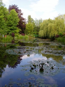 Monet's waterlily pond at Giverny today