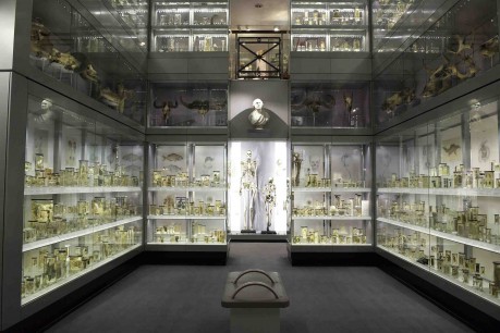 The Crystal Gallery at the Hunterian Collection, London