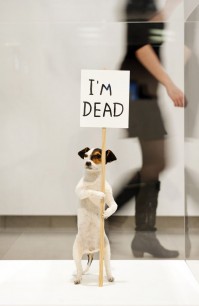 David Shrigley, I'm Dead (2010)