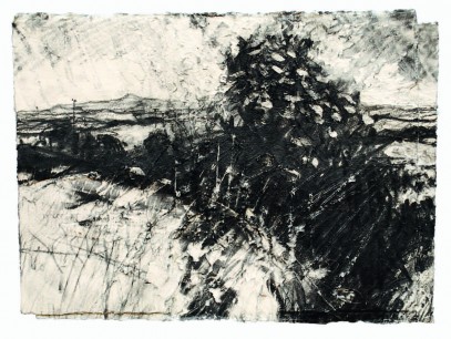 David Tress, 'The Time of the Elderflower', graphite on paper, 30x40cm, 2011, private collection
